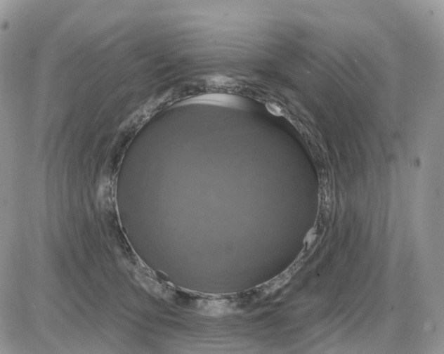 X0000086050419200704202041