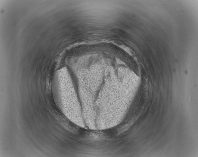 X0000086050420200704202041