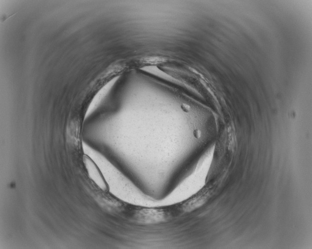 X0000086050421200704202041