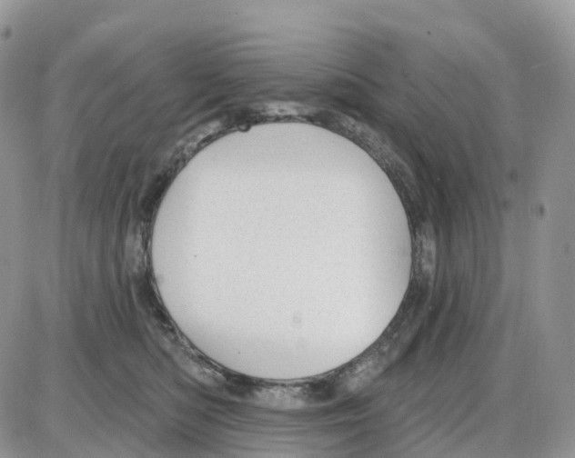 X0000086050422200704202041