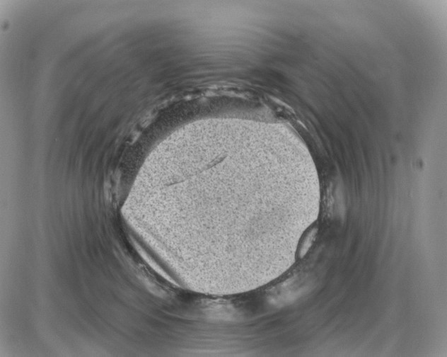 X0000086050424200704202041