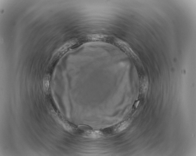 X0000086050427200704202041