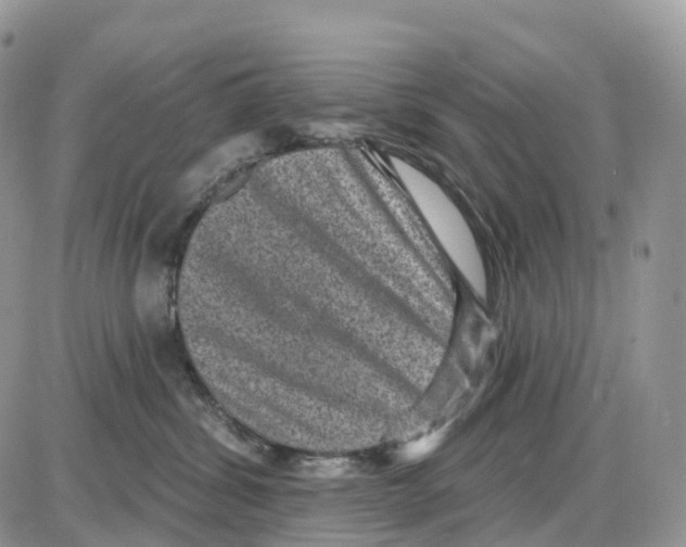 X0000086050428200704202040