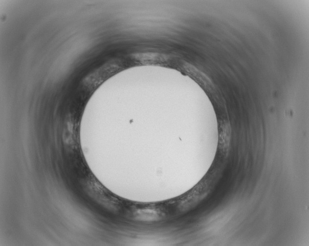 X0000086050430200704202040