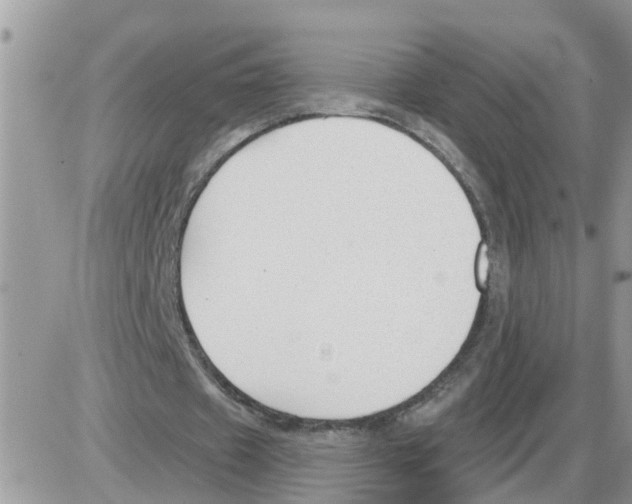 X0000086050433200704202040