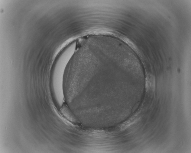 X0000086050438200704202040