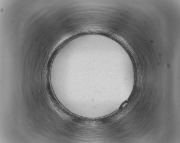 X0000086050439200704202040