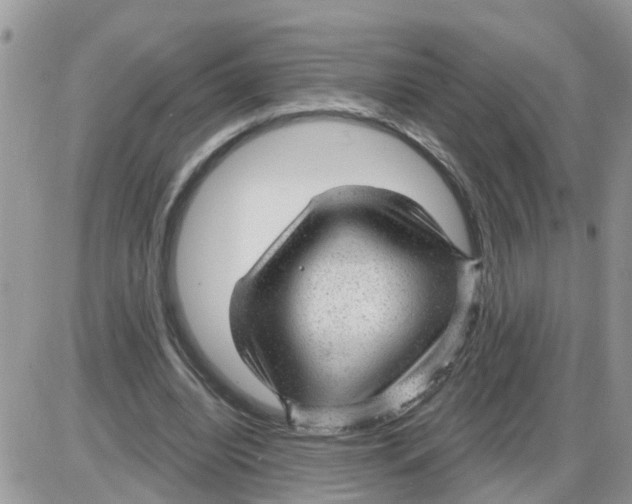 X0000086050440200704202040