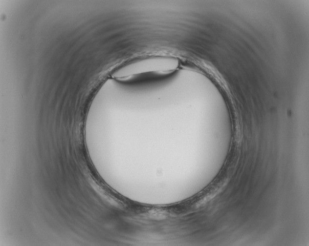 X0000086050441200704202040