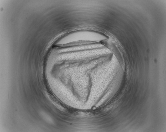 X0000086050442200704202040