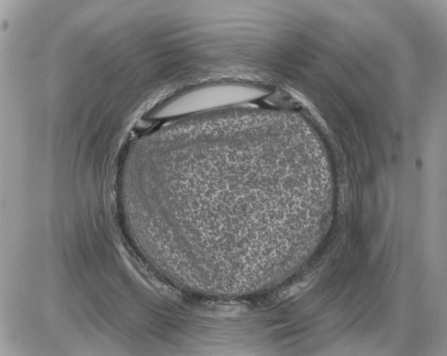 X0000086050443200704202040