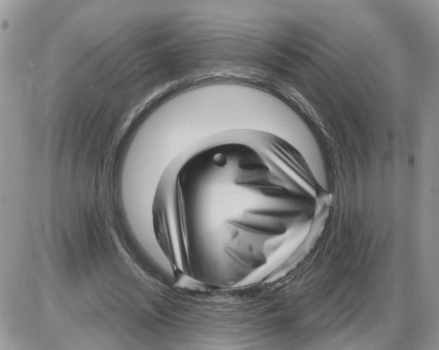 X0000086050444200704202040