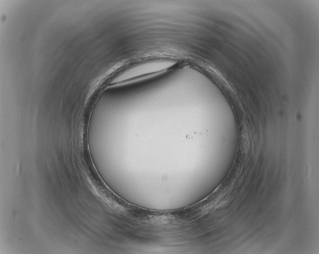 X0000086050446200704202040