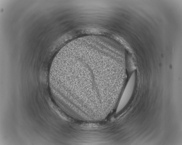 X0000086050449200704202040