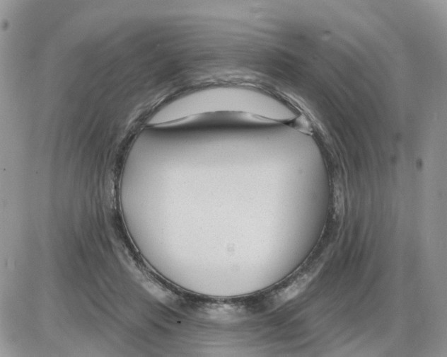 X0000086050453200704202040