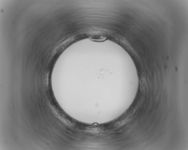 X0000086050454200704202040