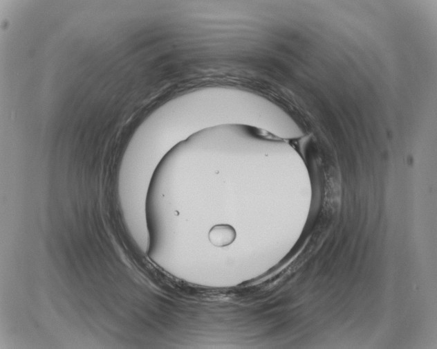 X0000086050456200704202040