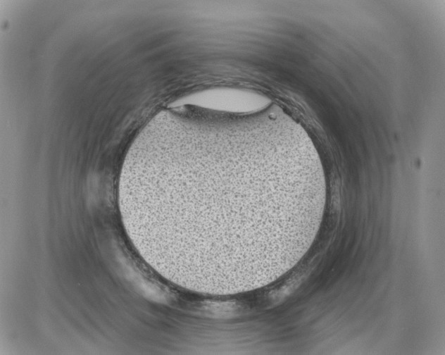 X0000086050457200704202040