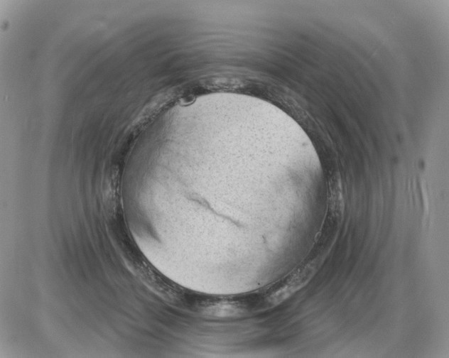 X0000086050460200704202040