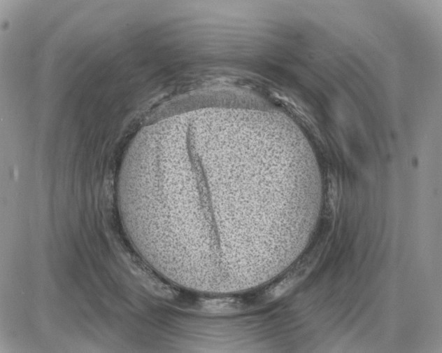 X0000086050461200704202040