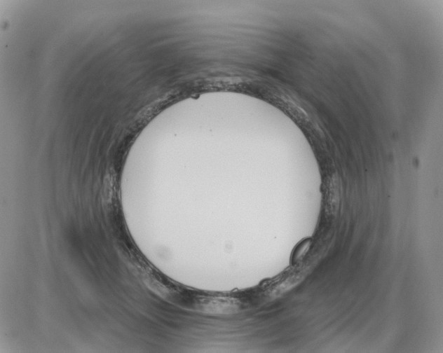 X0000086050463200704202040