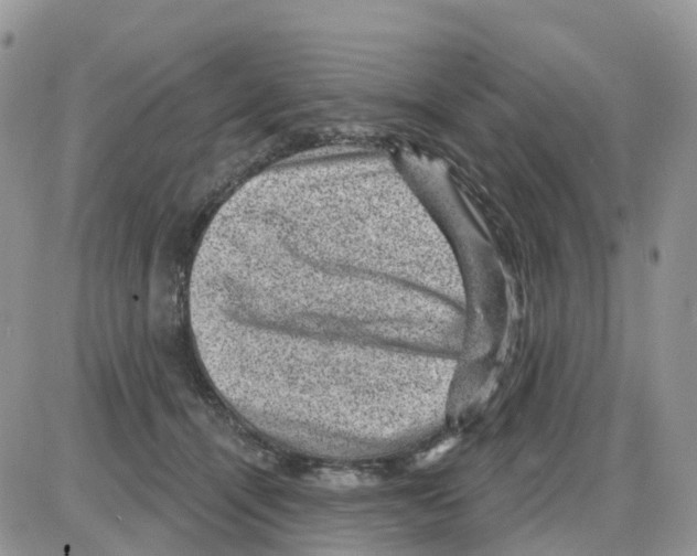 X0000086050464200704202040