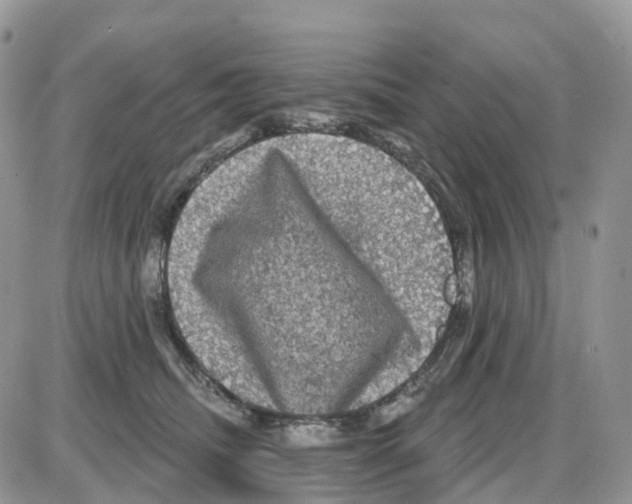 X0000086050468200704202040