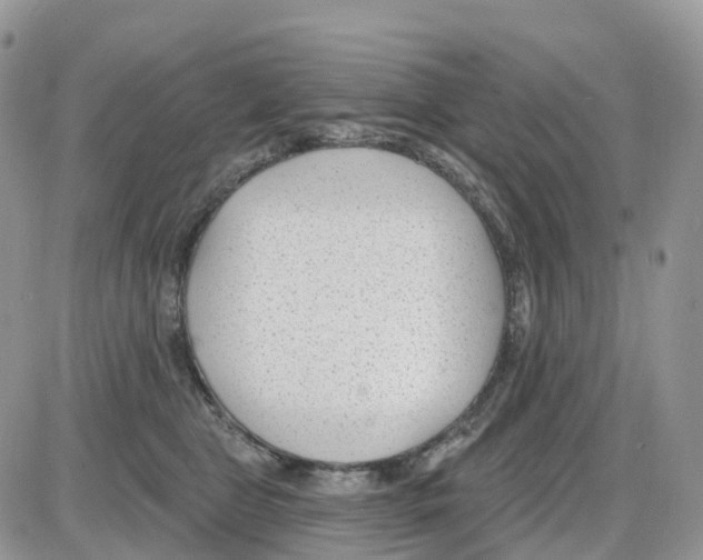 X0000086050469200704202040