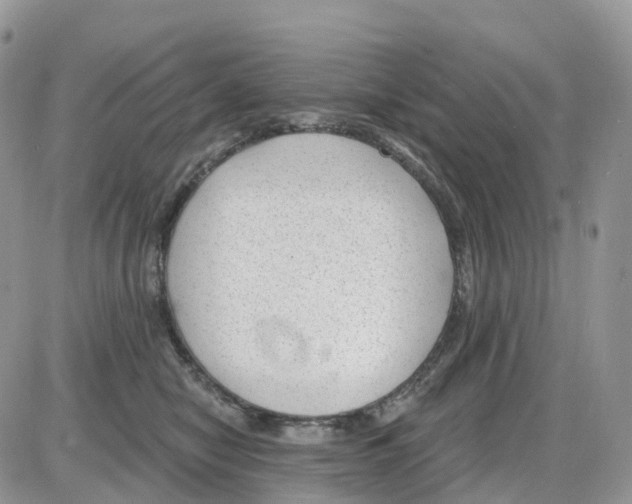 X0000086050470200704202040