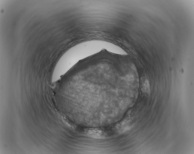 X0000086050471200704202040