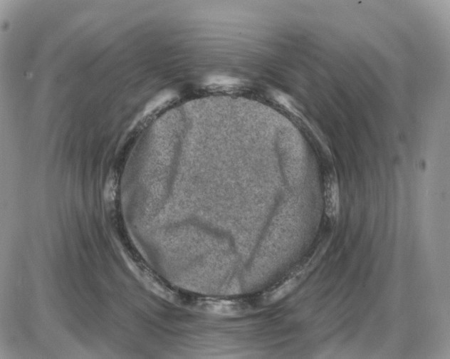 X0000086050472200704202040