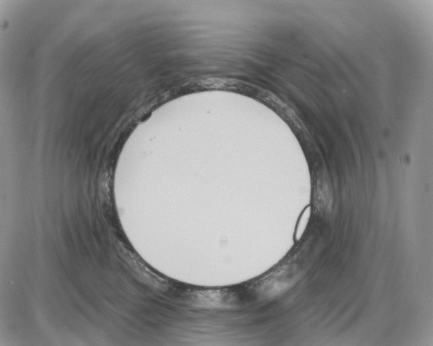 X0000086050473200704202040