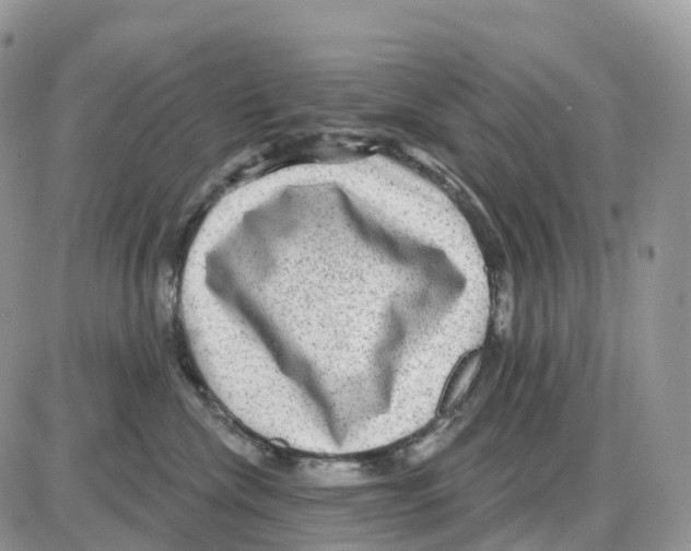 X0000086050476200704202040