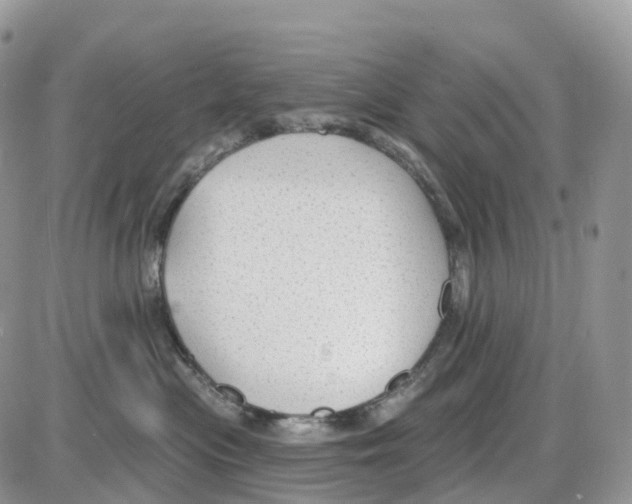 X0000086050477200704202040