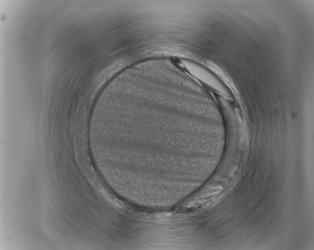 X0000086050481200704202040