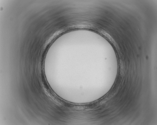 X0000086050482200704202040