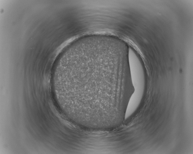 X0000086050483200704202040