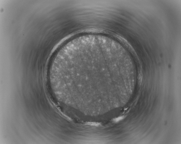 X0000086050484200704202040