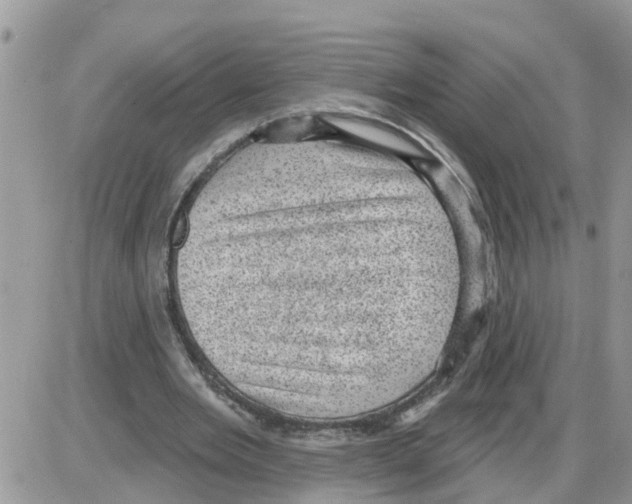 X0000086050485200704202040