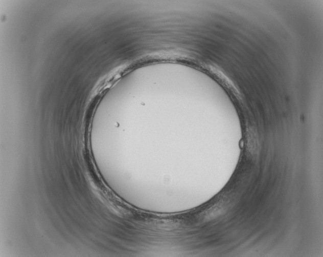 X0000086050486200704202040