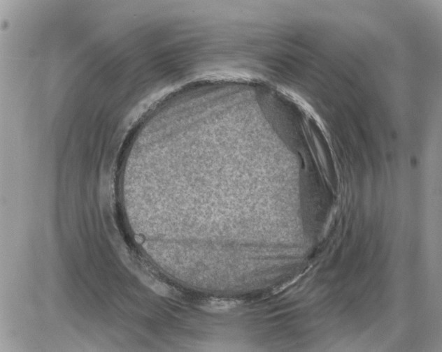 X0000086050487200704202040