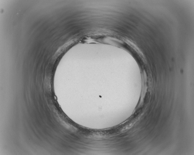 X0000086050489200704202040