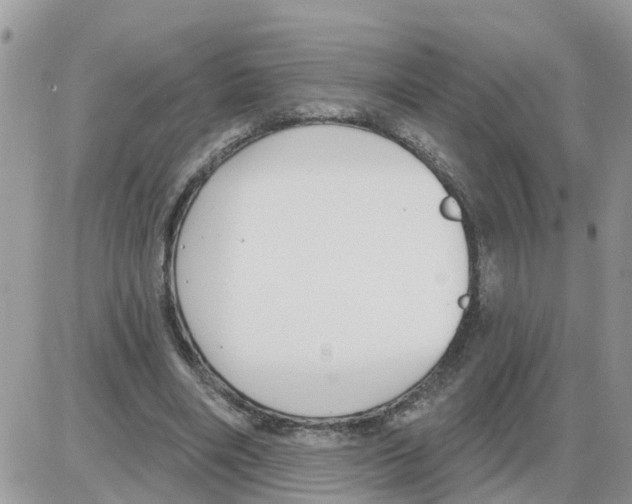 X0000086050490200704202039