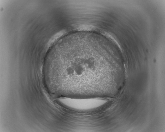 X0000086050491200704202039