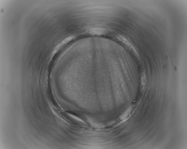 X0000086050492200704202039