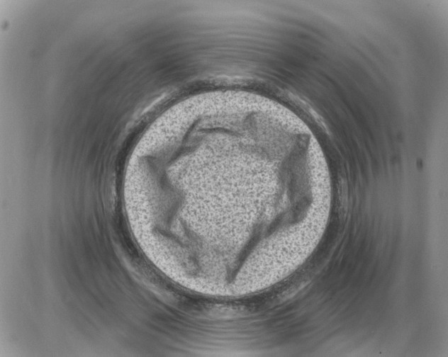 X0000086050494200704202039