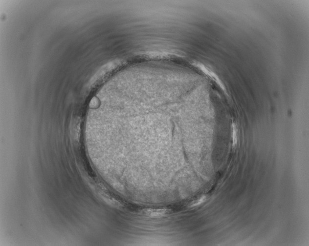 X0000086050495200704202039