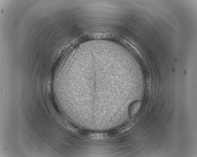 X0000086050499200704202039