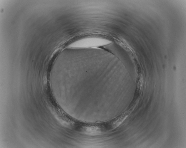 X0000086050500200704202039