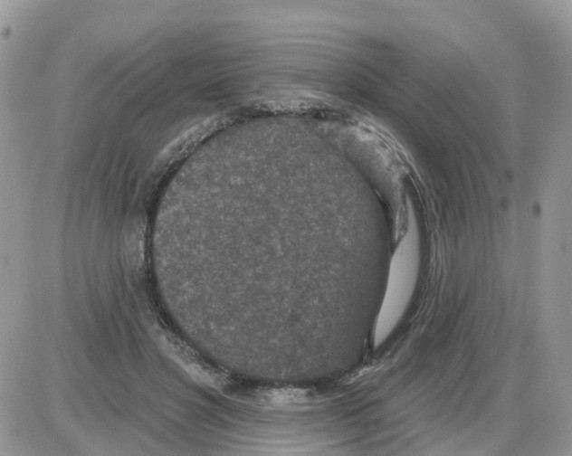 X0000086050501200704202039